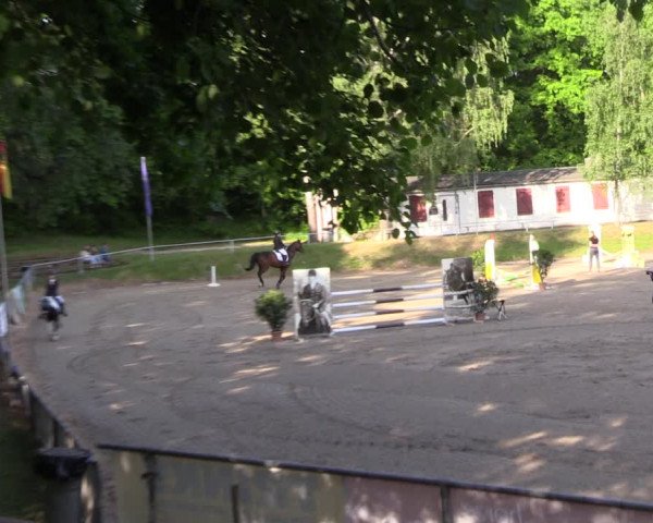 Reitturnier Lgl.-Oberhain 2023