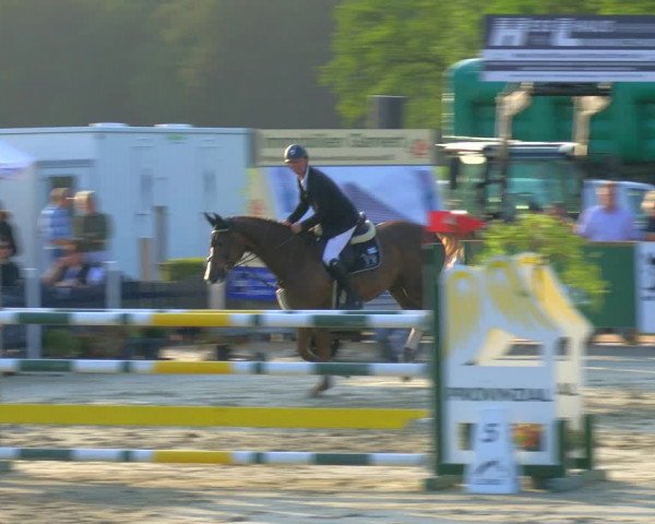Reitturnier Borken Reitanlage Sportpferde Ehning 2023