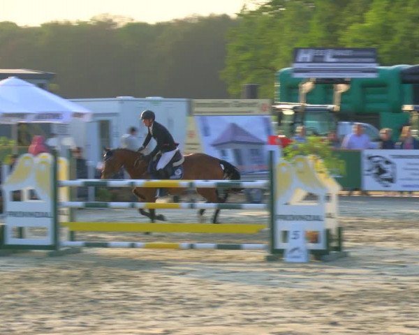Reitturnier Borken Reitanlage Sportpferde Ehning 2023