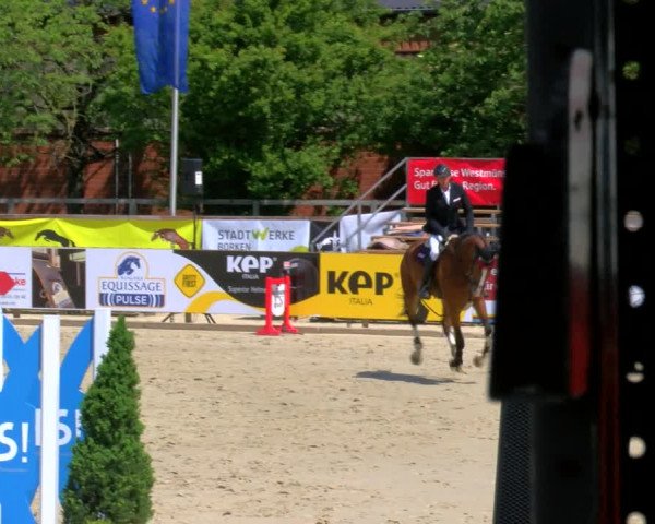 Reitturnier Borken Reitanlage Sportpferde Ehning 2023