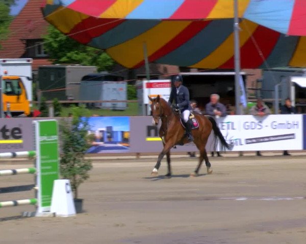Reitturnier Borken Reitanlage Sportpferde Ehning 2023