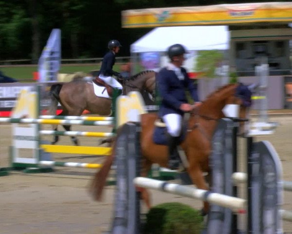 Reitturnier Borken Reitanlage Sportpferde Ehning 2023