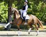 dressage horse Veuve Clicquot 3 (Hanoverian, 2018, from Vitalis)