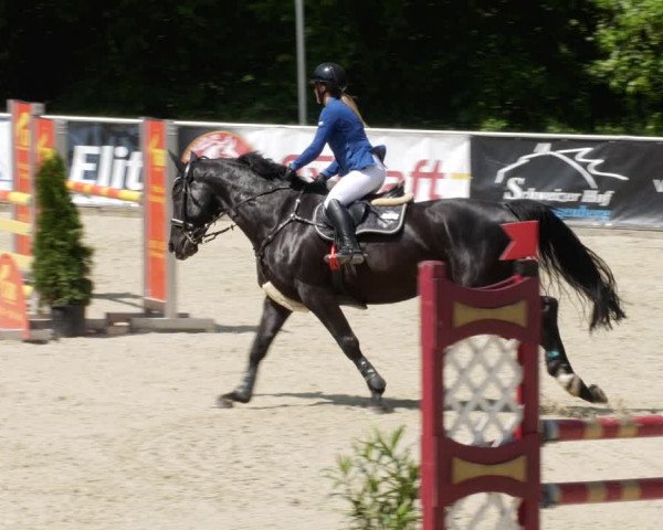 Reitturnier Karlsfeld/Obb. 2023