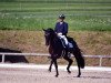 dressage horse Wioletta (Bavarian, 2009, from Floresco NRW)