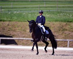 dressage horse Wioletta (Bavarian, 2009, from Floresco NRW)