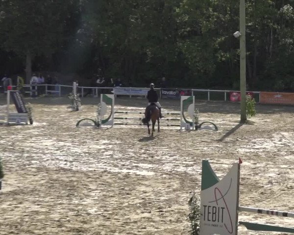 Reitturnier Siegen-Weidenau 2023
