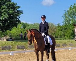 dressage horse Daenerys Targaryen 2 (German Sport Horse, 2018, from Don Royal)