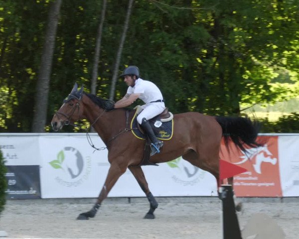 Reitturnier Karlsfeld/Obb. 2023