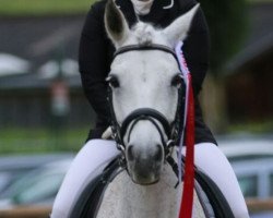 broodmare Green-Heart Lady Daylight (Connemara Pony, 2004, from Glaskopf Golden Merlin)