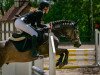 jumper Nautilus 56 (German Riding Pony, 2013, from Nutrix)