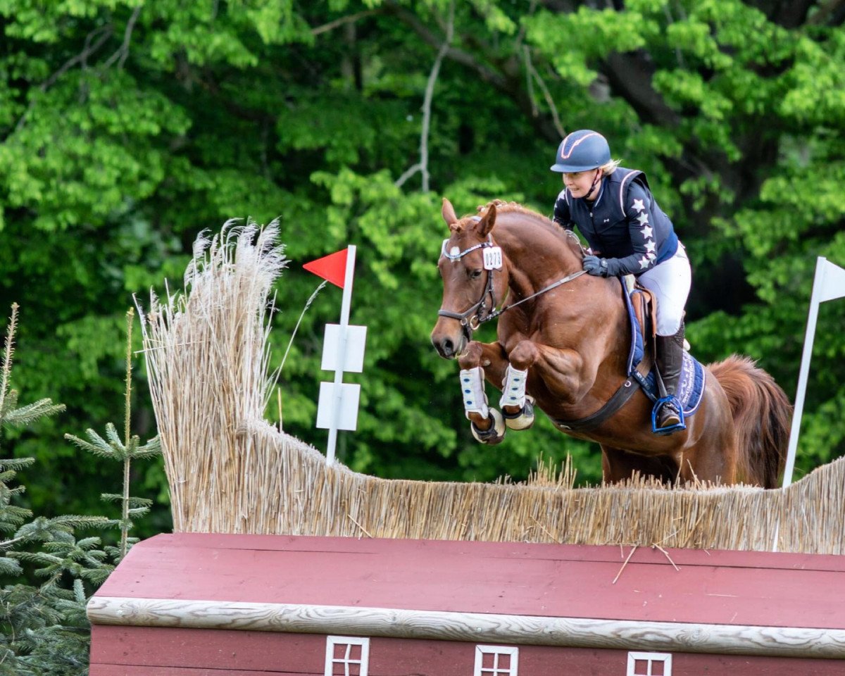 broodmare Springflame (German Riding Pony, 2018, from Dance Star AT NRW)