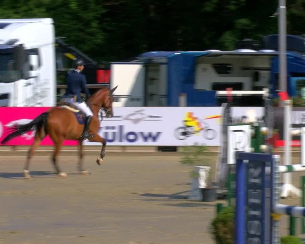 Reitturnier Borken Reitanlage Sportpferde Ehning 2023