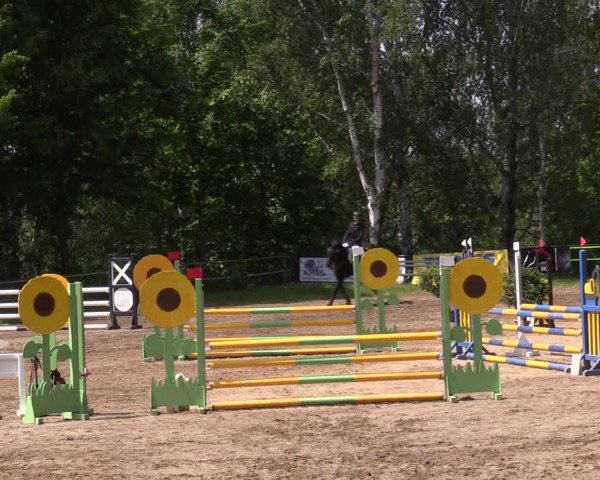Reitturnier Lgl.-Oberhain 2023