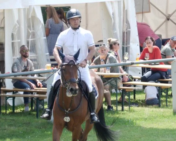 Reitturnier Forst 2023