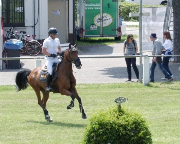 Reitturnier Forst 2023