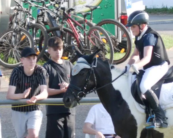 Reitturnier Forst 2023