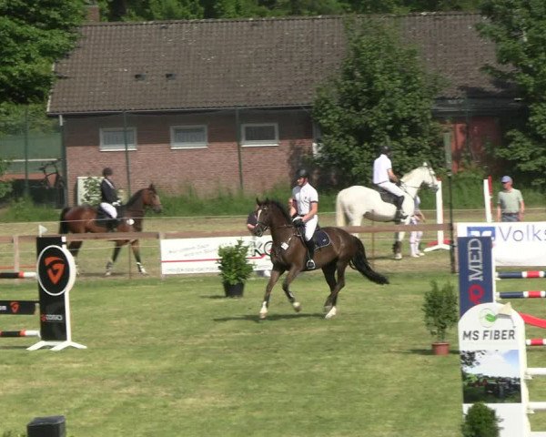 Reitturnier Pennigbüttel 2023