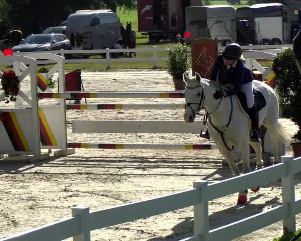 Reitturnier Isny-Rohrdorf 2021