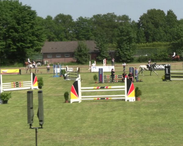 Reitturnier Pennigbüttel 2023
