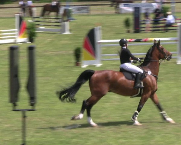 Reitturnier Pennigbüttel 2023