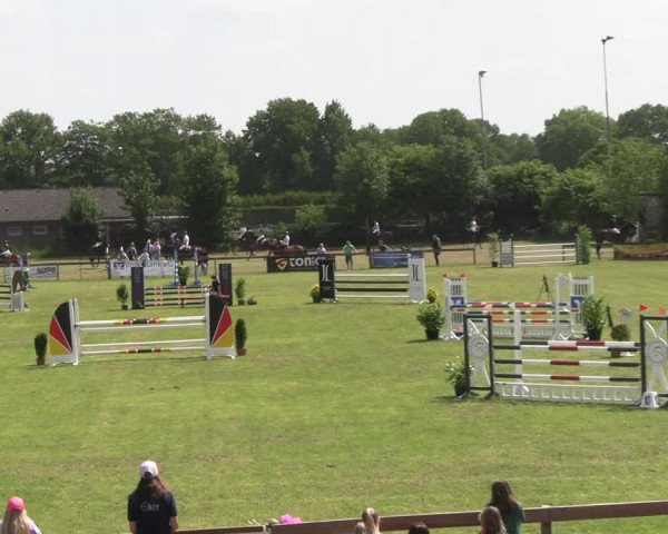 Reitturnier Pennigbüttel 2023