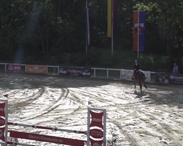 Reitturnier Siegen-Weidenau 2023