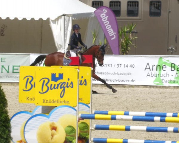 Reitturnier Karlsfeld/Obb. 2023