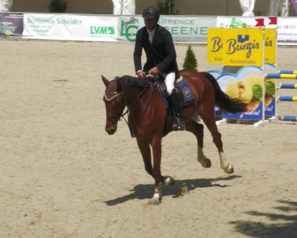 Reitturnier Karlsfeld/Obb. 2023