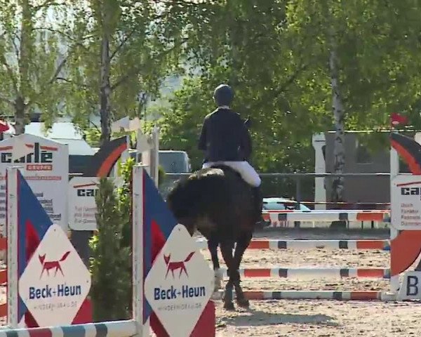 Reitturnier Landenhausen 2023