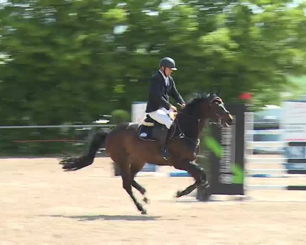 Reitturnier Landenhausen 2023