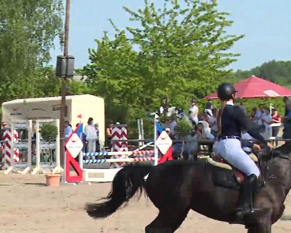 Reitturnier Landenhausen 2023