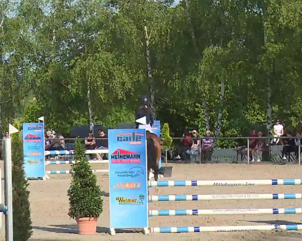 Reitturnier Landenhausen 2023
