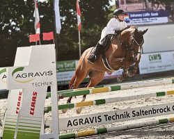 Springpferd Chacklin Mayr Francis (Deutsches Reitpony, 2017, von Coke saint of the Life)