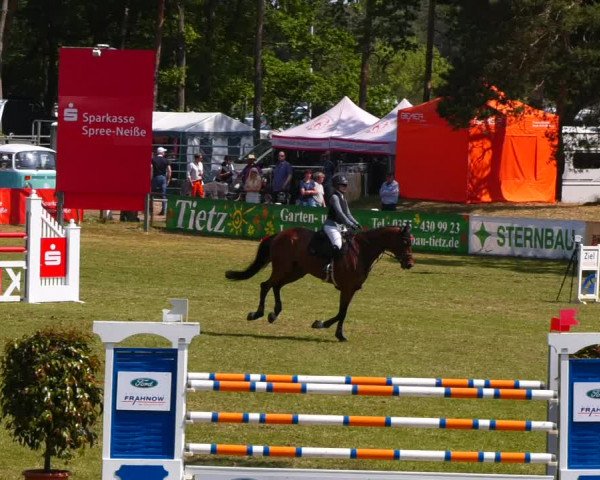 Reitturnier Cottbus-Sielow 2023