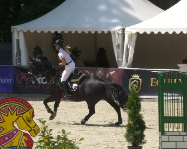 Reitturnier Karlsfeld/Obb. 2023