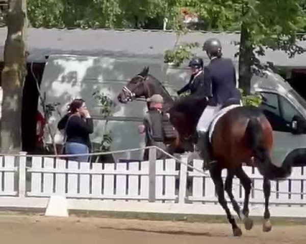 Video of Dona Scalina
