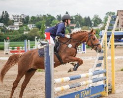 jumper Prodise's Mona Lisa (New Forest Pony, 2012, from Kantje's Appart)