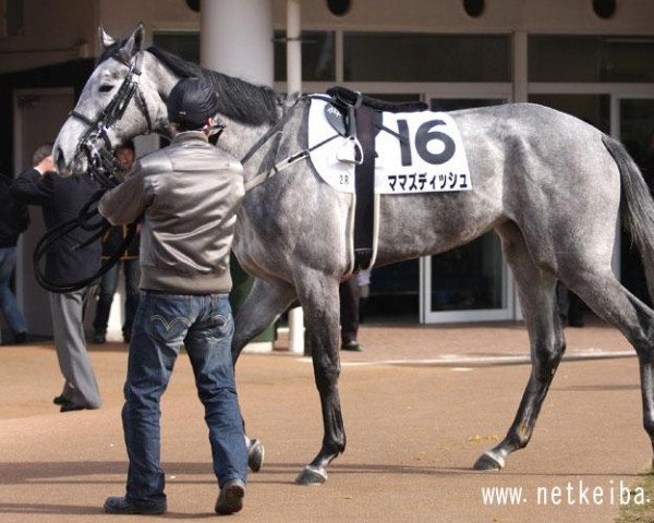 broodmare Mama´s Dish xx (Thoroughbred, 2007, from Kurofune xx)