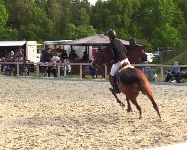 Reitturnier Kropp 2023