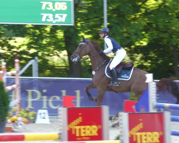 Reitturnier Karlsfeld/Obb. 2023