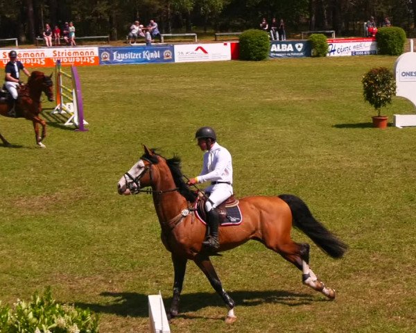 Reitturnier Cottbus-Sielow 2023