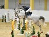 jumper Cellvana (German Sport Horse, 2015, from Cellestial)