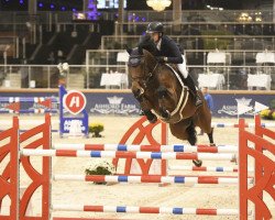 Springpferd Noria vd Donkhoeve (Belgisches Warmblut, 2013, von Contador)