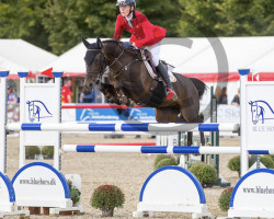 jumper Bodyssee des Avelines (French Pony, 2007, from Radco d'Houtveld)