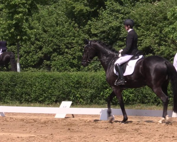 Reitturnier Westeregeln 2023