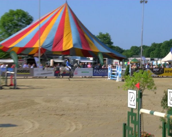 Reitturnier Borken Reitanlage Sportpferde Ehning 2023