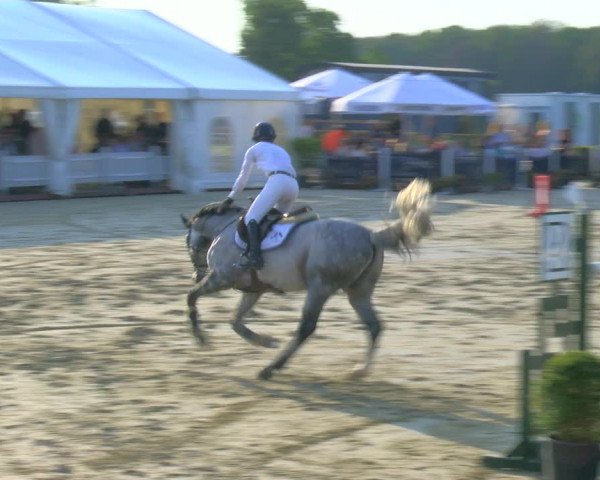Reitturnier Borken Reitanlage Sportpferde Ehning 2023