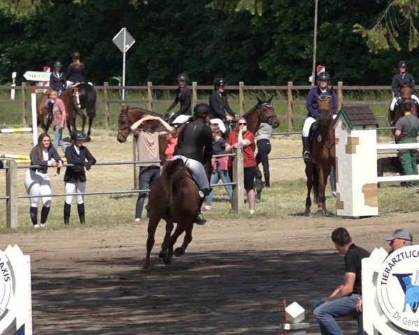 Reitturnier Mettingen 2023