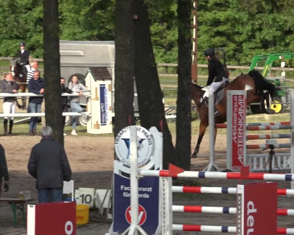 Reitturnier Mettingen 2023